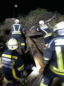 Feuerwehrübung: Menschenrettung aus Holzhaufen