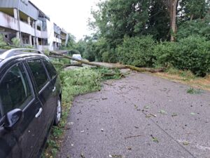 Sturmschaden – Baum über Straße