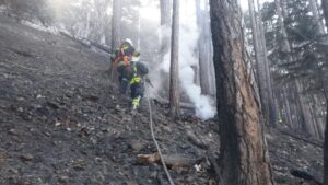 – ACHTUNG – Waldbrandverordnung!!